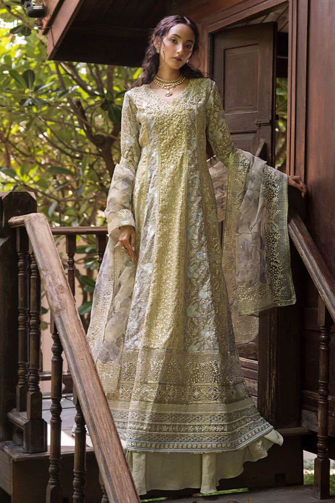 Mushq Fancy Collection - Elegant Embroidered Designs